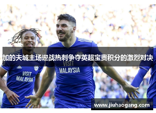 加的夫城主场迎战热刺争夺英超宝贵积分的激烈对决
