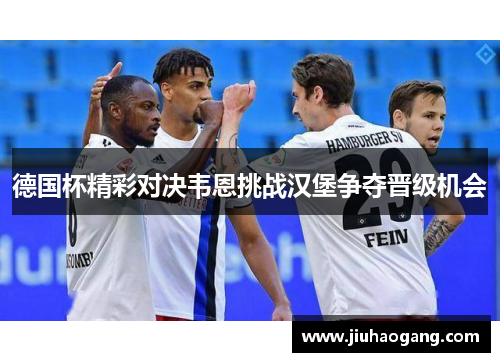 德国杯精彩对决韦恩挑战汉堡争夺晋级机会